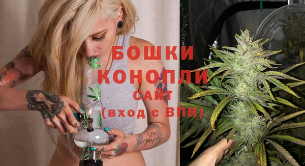 МДПВ Осташков