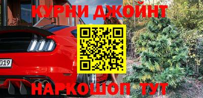 стаф Гатчина