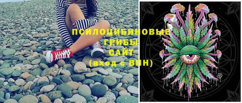 omg ТОР  дарк нет как зайти  Галлюциногенные грибы Psilocybine cubensis  Бугуруслан 