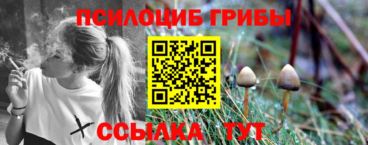Псилоцибиновые грибы Magic Shrooms  Бугуруслан 