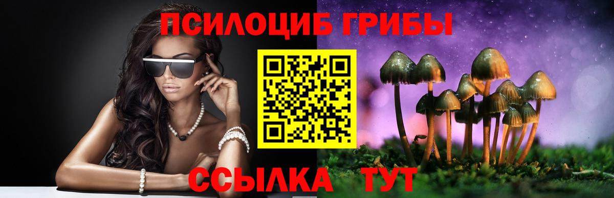 Бугуруслан  Псилоцибиновые грибы ЛСД  что такое наркотик  Вход с VPN 